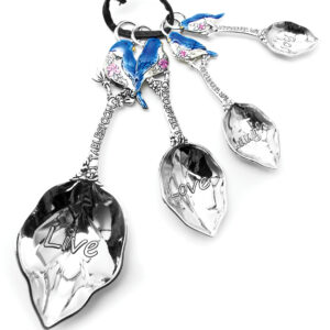 Metal Measuring Spoons Set Blue Bird