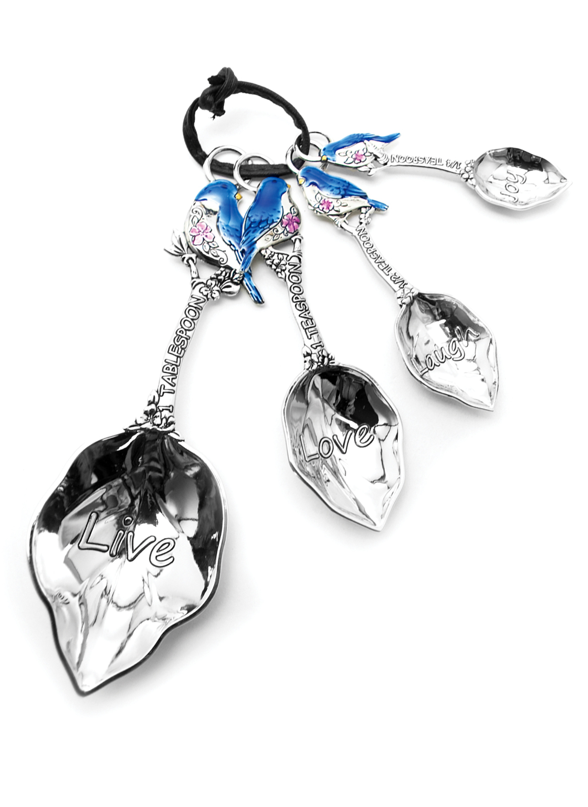 Metal Measuring Spoons Set Blue Bird