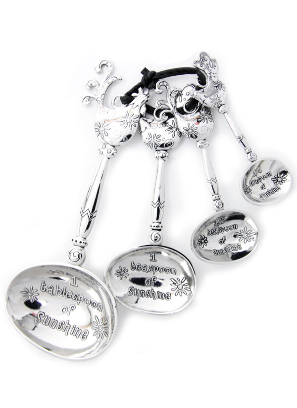 Metal Measuring Spoons Set of 4 Chickens full of Sunshine