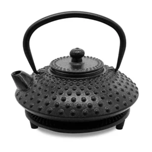 Fuyu Black Cast Iron Teapot