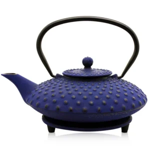 Fuyu Navy Blue Iron Teapot 800ml